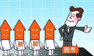 华阳集团(002906)新股申购中签率解析与中签号码查询指南